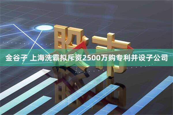 金谷子 上海洗霸拟斥资2500万购专利并设子公司