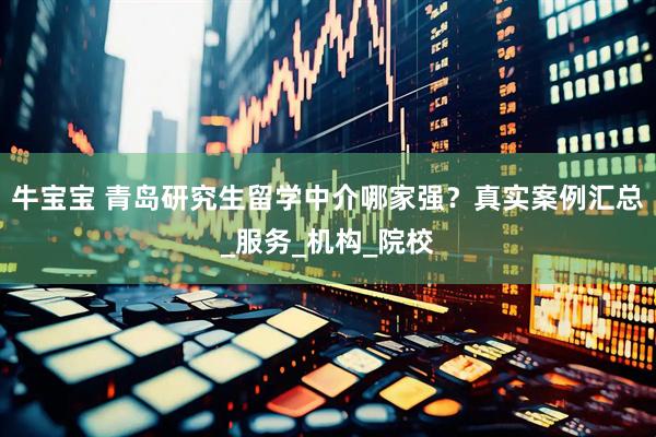 牛宝宝 青岛研究生留学中介哪家强？真实案例汇总_服务_机构_院校
